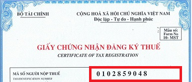 Cấu trúc của mã số thuế