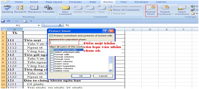 Đặt mật khẩu trong file excel4