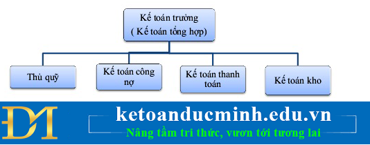 công việc kế toán siêu thị