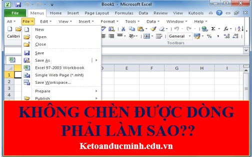 Cứu hỏa: Kế toán không chèn được dòng mới trên Excel. Phải làm sao? - Kế toán Đức Minh