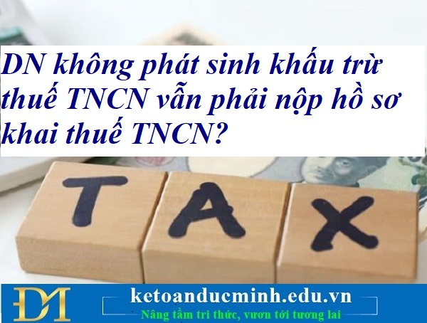 DN không phát sinh khấu trừ thuế TNCN vẫn phải nộp hồ sơ khai thuế TNCN? Kế toán Đức Minh.