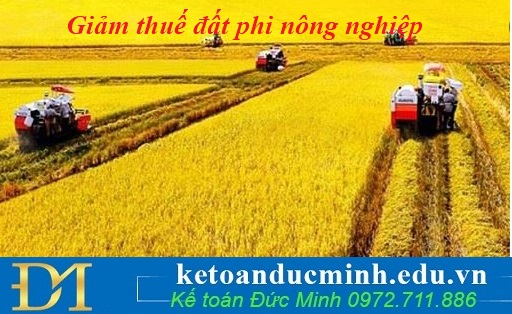 14 trường hợp được miễn, giảm thuế sử dụng đất phi nông nghiệp - KTĐM