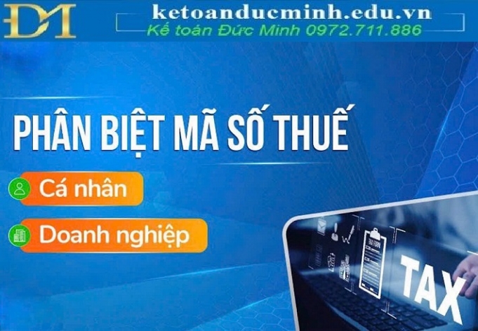 Phân biệt Mã số thuế cá nhân và Mã số thuế doanh nghiệp Phân biệt Mã số thuế cá nhân và Mã số thuế doanh nghiệp