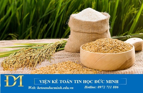 Sửa đổi một số quy định về kinh doanh xuất khẩu gạo – Kế toán Đức Minh Sửa đổi một số quy định về kinh doanh xuất khẩu gạo – Kế toán Đức Minh