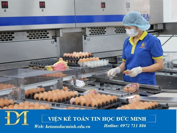 Nghiệp vụ và hạch toán chi tiết kế toán DN sản xuất thực phẩm – Kế toán Đức Minh. Nghiệp vụ và hạch toán chi tiết kế toán DN sản xuất thực phẩm – Kế toán Đức Minh.