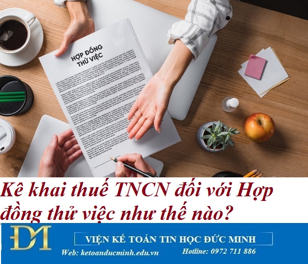 Kê khai thuế TNCN đối với Hợp đồng thử việc như thế nào? Kế toán Đức Minh.