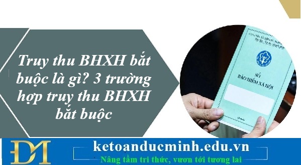 Truy thu BHXH bắt buộc là gì? 3 trường hợp truy thu BHXH bắt buộc – Kế toán Đức Minh.