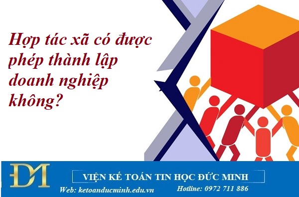 Hợp tác xã có được phép thành lập doanh nghiệp không? Kế toán Đức Minh.