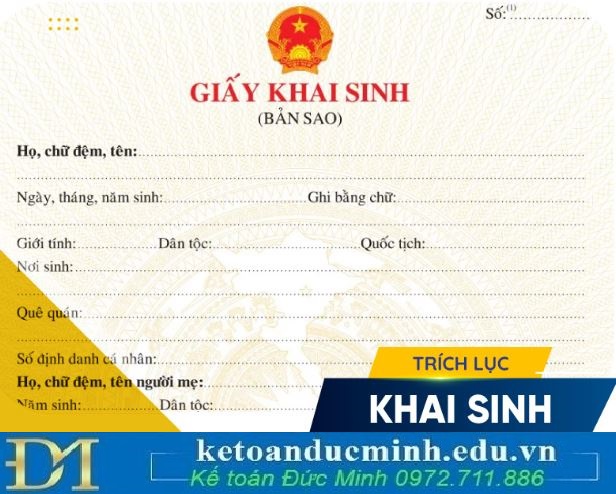 Trích lục khai sinh là gì? Dùng trích lục khai sinh thay cho giấy khai sinh hưởng chế độ thai sản được không?