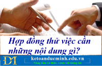 Hợp đồng thử việc cần những nội dung gì? Kế toán Đức Minh.