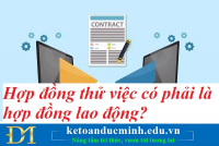 Hợp đồng thử việc có phải là hợp đồng lao động? Kế toán Đức Minh.