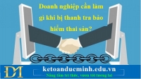 Doanh nghiệp cần làm gì khi bị thanh tra bảo hiểm thai sản?- KTĐM