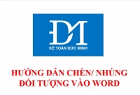 CHÈN/NHÚNG 1 ĐỐI TƯỢNG VÀO WORD