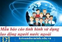 Mẫu báo cáo tình hình sử dụng LAO ĐỘNG NGƯỜI NƯỚC NGOÀI năm 2021 – Kế toán Đức Minh.