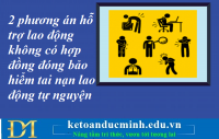 2 phương án hỗ trợ lao động không có hợp đồng đóng bảo hiểm tai nạn lao động tự nguyện – Kế toán Đức Minh.