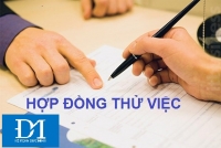 Thỏa thuận thử việc nhưng không ký hợp đồng, có trái luật? -kế toán Đức Minh