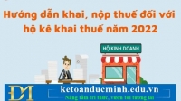 Hướng dẫn khai, nộp thuế đối với hộ kinh doanh, cá nhân kinh doanh trực tiếp khai thuế năm 2022