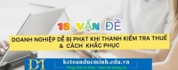 18 Vấn Đề Doanh Nghiệp Dễ Bị Phạt Khi Bị Thanh Tra Thuế Và Cách Khắc Phục - KTĐM