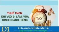 Vừa đi làm, vừa kinh doanh riêng, nộp thuế TNCN thế nào? - KTĐM