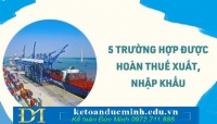 5 trường hợp được hoàn thuế xuất khẩu, thuế nhập khẩu - KTĐM