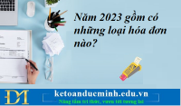 Năm 2023 gồm có những loại hóa đơn nào? Kế toán Đức Minh.