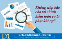 Không nộp báo cáo tài chính kiểm toán có bị phạt không? Kế toán Đức Minh