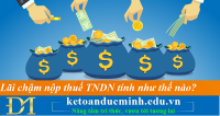 Lãi chậm nộp thuế TNDN tính như thế nào? Kế toán Đức Minh.