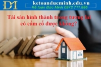 Tài sản hình thành trong tương lai có cầm cố được không?