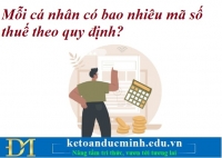 Mỗi cá nhân có bao nhiêu mã số thuế theo quy định? Kế toán Đức Minh.