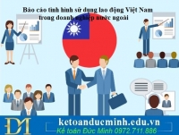 Báo cáo tình hình sử dụng lao động Việt Nam trong doanh nghiệp nước ngoài