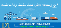 Xuất nhập khẩu bao gồm những gì? Kế toán Đức Minh.