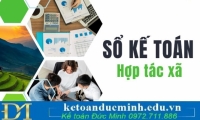 Sổ kế toán là gì? Quy định về sổ kế toán hợp tác xã từ 07/10/2024