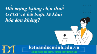 Đối tượng không chịu thuế GTGT có bắt buộc kê khai hóa đơn không? Kế toán Đức Minh.