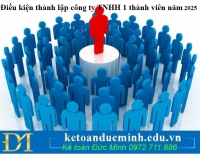 Điều kiện thành lập công ty TNHH 1 thành viên năm 2025