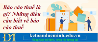 Báo cáo thuế là gì? Những điều cần biết về báo cáo thuế - Kế toán Đức Minh.