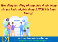 Hợp đồng lao động nhưng thỏa thuận bằng tên gọi khác có phải đóng BHXH bắt buộc không? Kế toán Đức Minh.