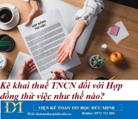 Kê khai thuế TNCN đối với Hợp đồng thử việc như thế nào? Kế toán Đức Minh.