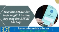 Truy thu BHXH bắt buộc là gì? 3 trường hợp truy thu BHXH bắt buộc – Kế toán Đức Minh.