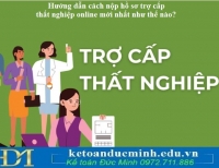 Hướng dẫn cách nộp hồ sơ trợ cấp thất nghiệp online mới nhất như thế nào?