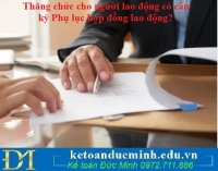 Thăng chức cho người lao động có cần ký Phụ lục hợp đồng lao động?