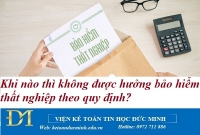 Khi nào thì không được hưởng bảo hiểm thất nghiệp theo quy định? Kế toán Đức Minh.