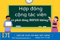 Hợp đồng cộng tác viên có phải đóng BHXH không? Kế toán Đức Minh.