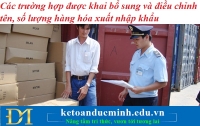 Các trường hợp được khai bổ sung và điều chỉnh tên, số lượng hàng hóa xuất nhập khẩu
