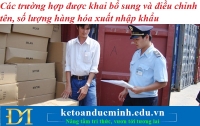 Các trường hợp được khai bổ sung và điều chỉnh tên, số lượng hàng hóa xuất nhập khẩu