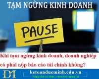 Khi tạm ngừng kinh doanh, doanh nghiệp có phải nộp báo cáo tài chính không?