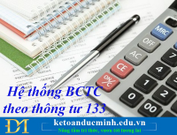 Hệ thống Báo cáo tài chính theo thông tư 133 bao gồm những gì?