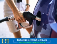 Tính sao với chi phí xăng dầu của xe thuê mượn trong DN