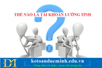 Thế nào là tài khoản kế toán lưỡng tính? Các tài khoản kế toán lưỡng tính