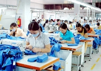  Hơn 230.000 tổ chức, cá nhân được ưu đãi, gia hạn thuế
