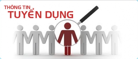 Tuyển gấp kế toán tài chính làm việc tại Hà Nội Tuyển gấp kế toán tài chính làm việc tại Hà Nội
